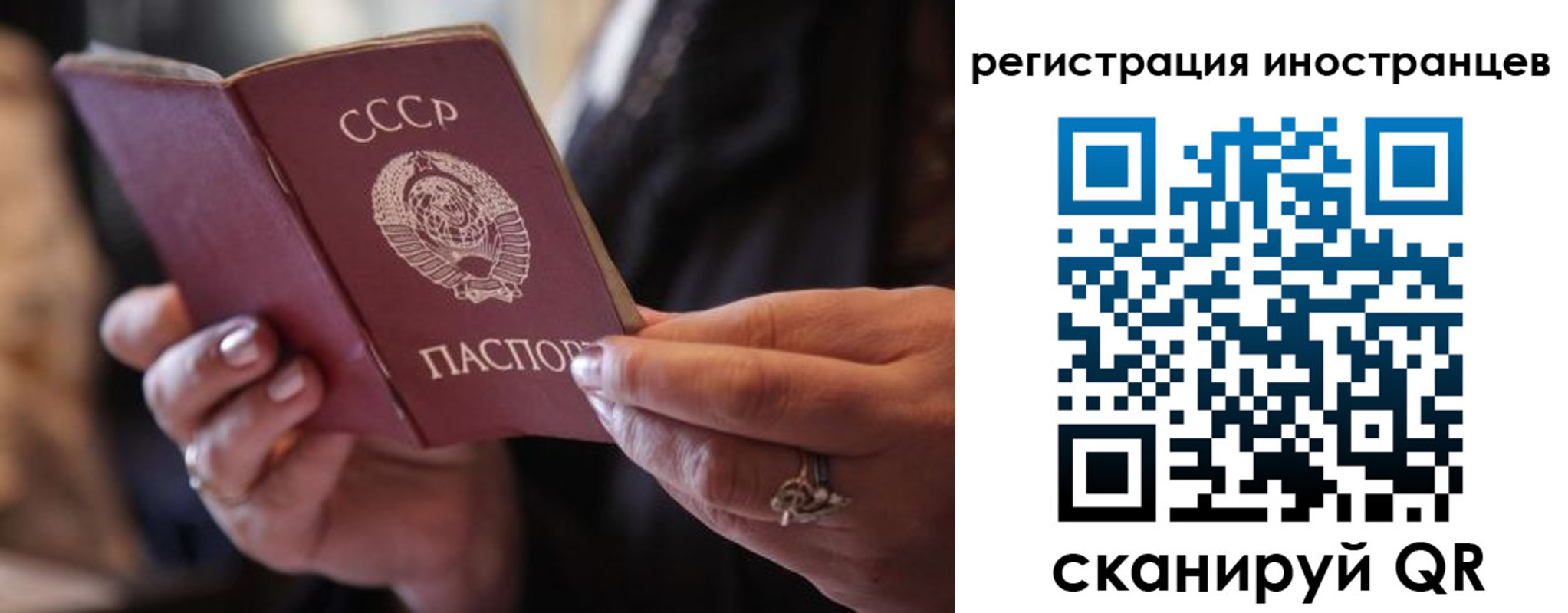 где прописаться в Мурино